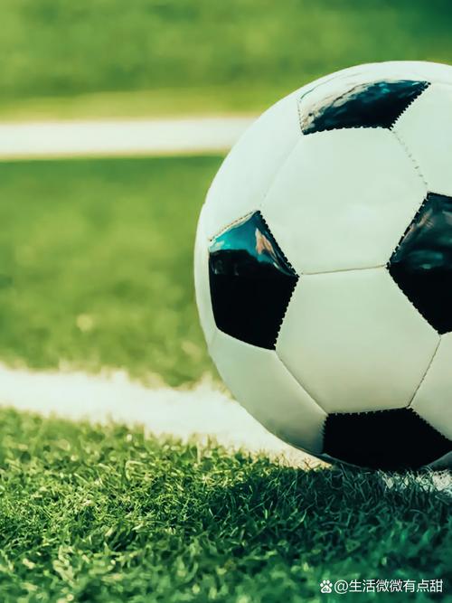 专业分析师使用球探app