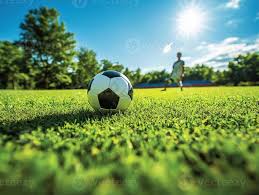 球探2025app使用流程示意图