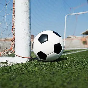 球探2025app多平台展示